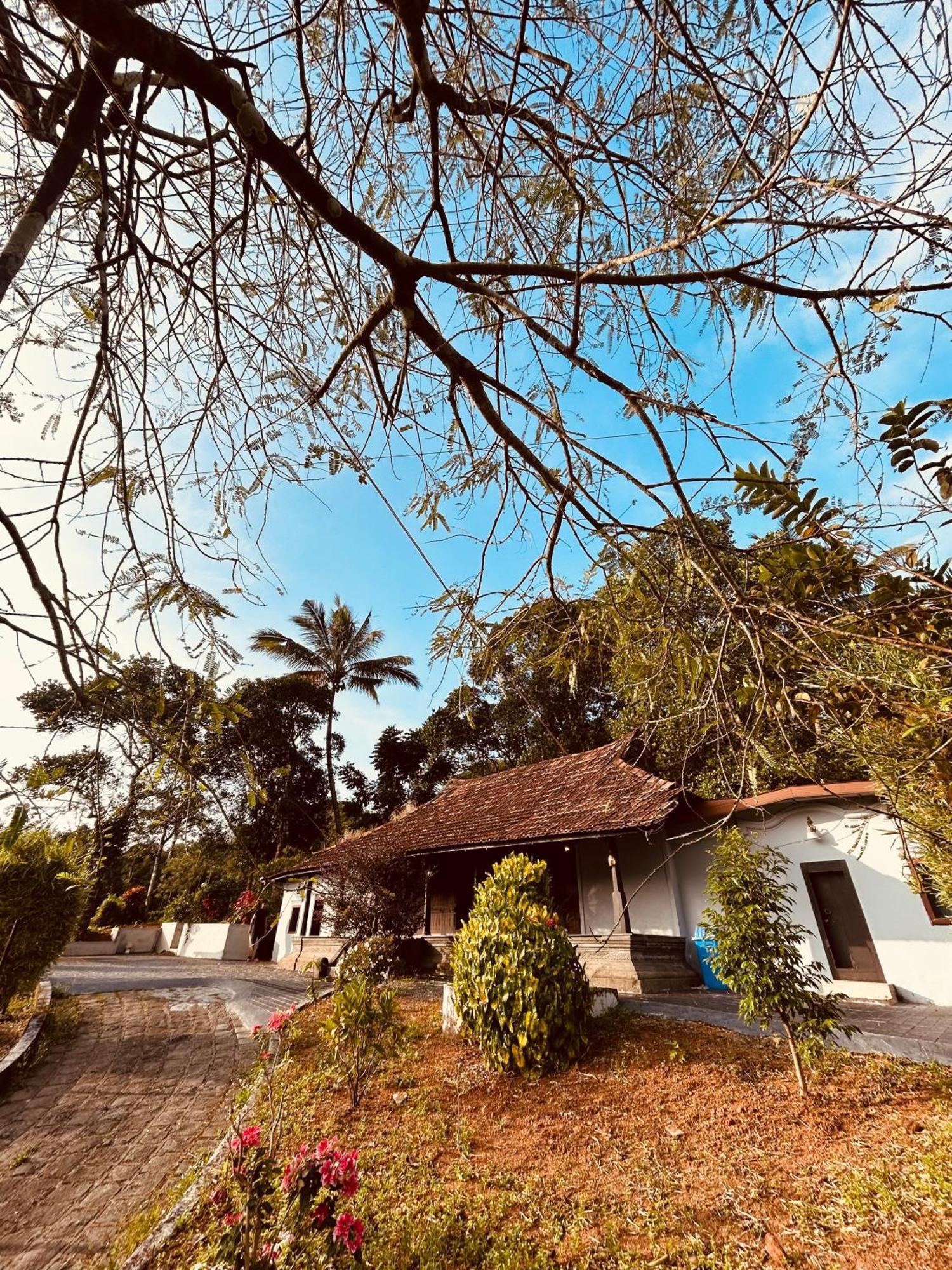 Villa Silent House à Kudayattur Extérieur photo